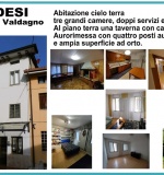 Dettagli
